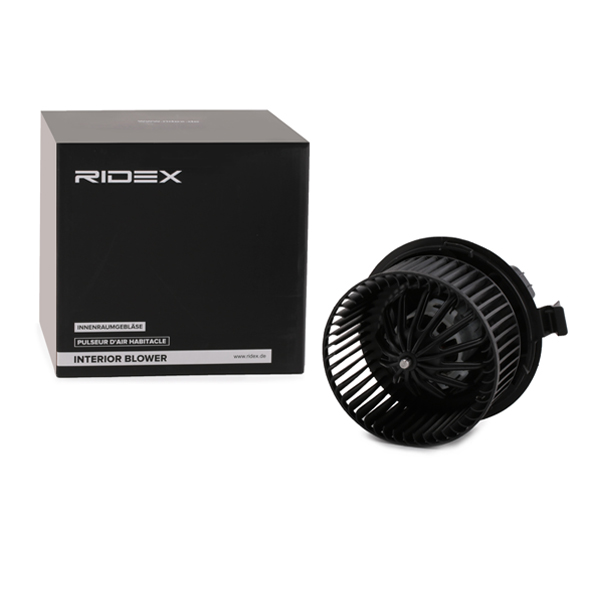 RIDEX Salongipuhur 2669I0046