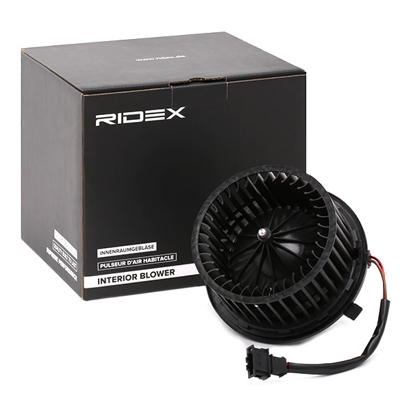 RIDEX Salongipuhur 2669I0052