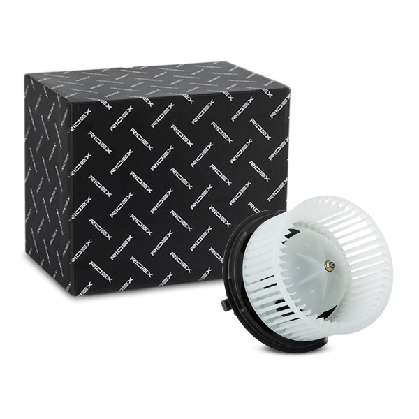 RIDEX Salongipuhur 2669I0056