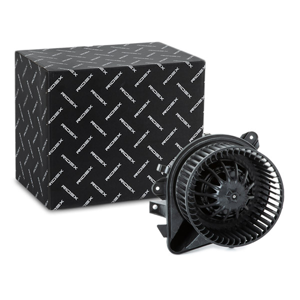 RIDEX Salongipuhur 2669I0061