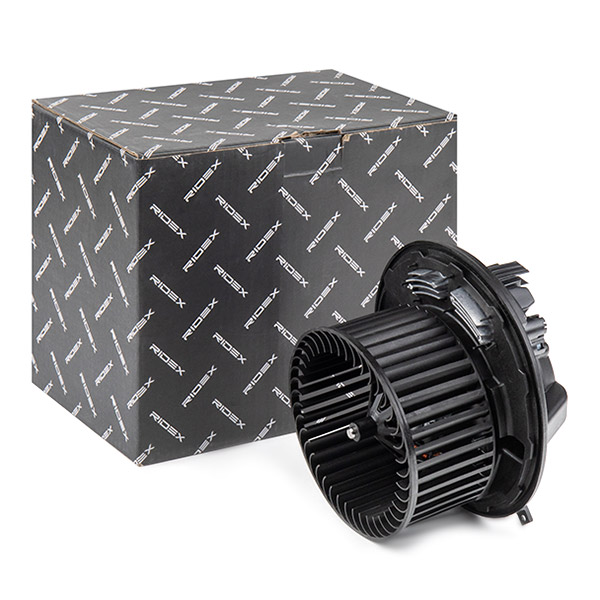 RIDEX Salongipuhur 2669I0062