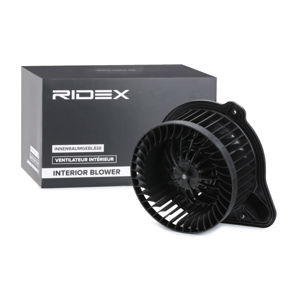 RIDEX Salongipuhur 2669I0069