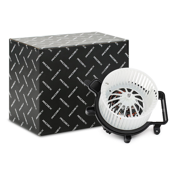 RIDEX Salongipuhur 2669I0073