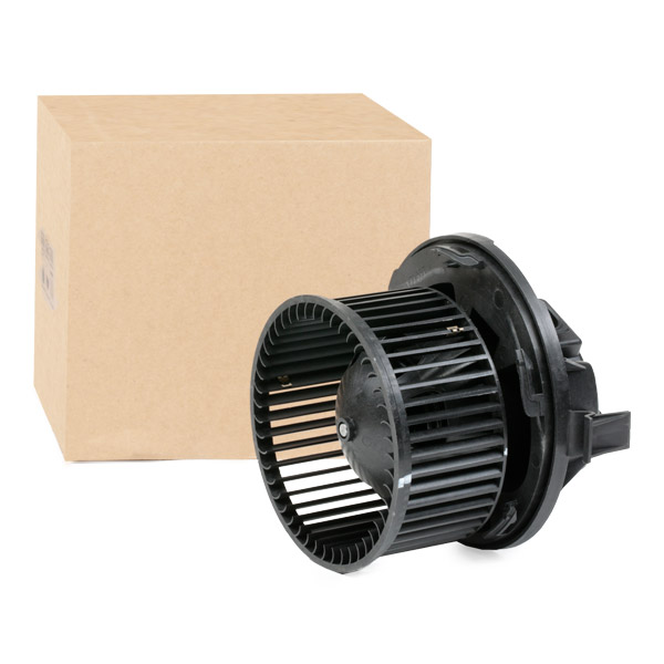 RIDEX Salongipuhur 2669I0074