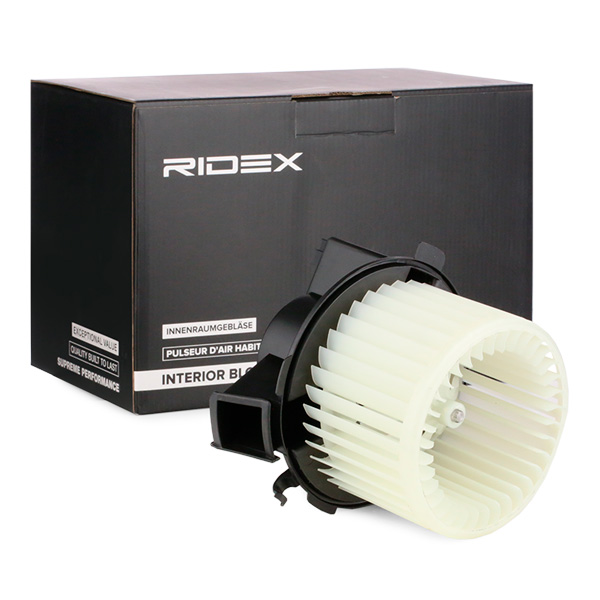 RIDEX Salongipuhur 2669I0084