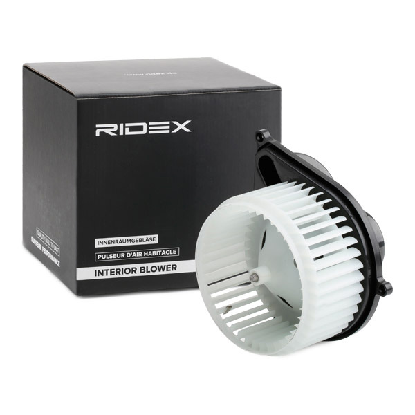 RIDEX Salongipuhur 2669I0086