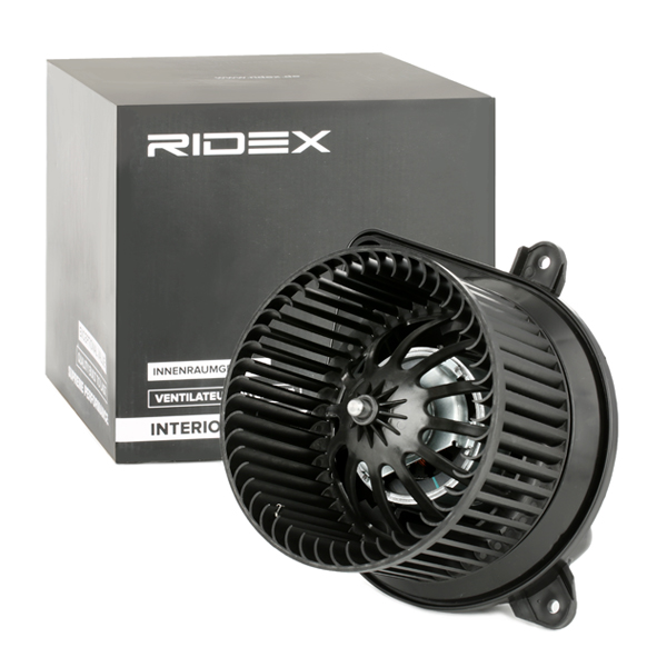 RIDEX Salongipuhur 2669I0087