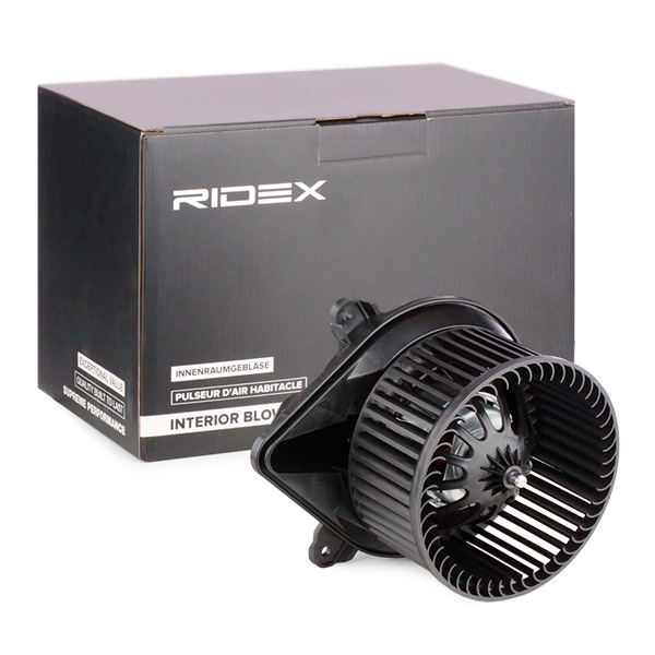 RIDEX Salongipuhur 2669I0094