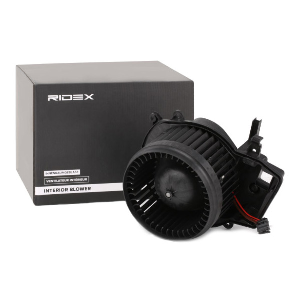 RIDEX Salongipuhur 2669I0096