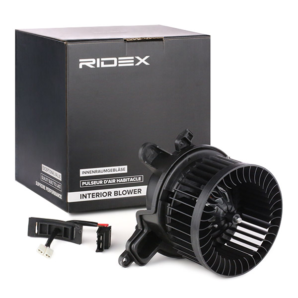 RIDEX Salongipuhur 2669I0098