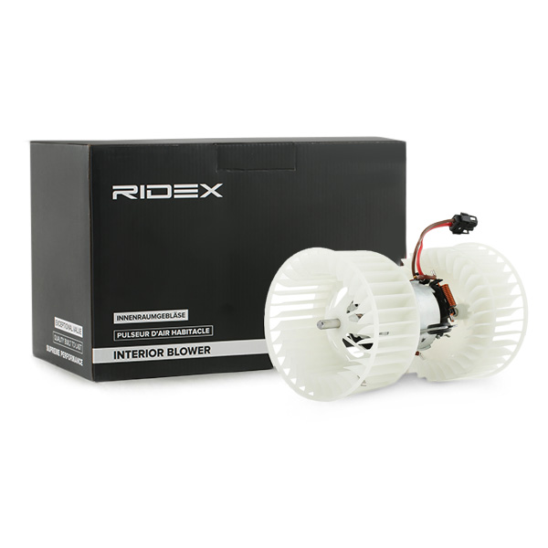 RIDEX Salongipuhur 2669I0100