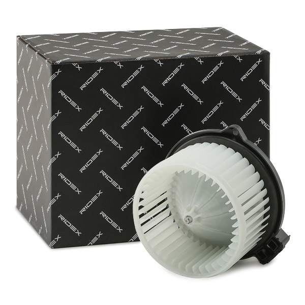 RIDEX Salongipuhur 2669I0110