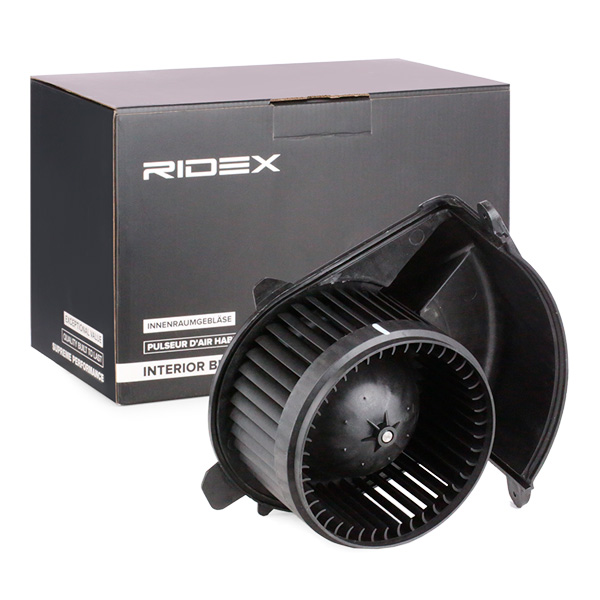 RIDEX Salongipuhur 2669I0113
