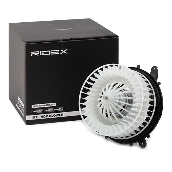 RIDEX Salongipuhur 2669I0119