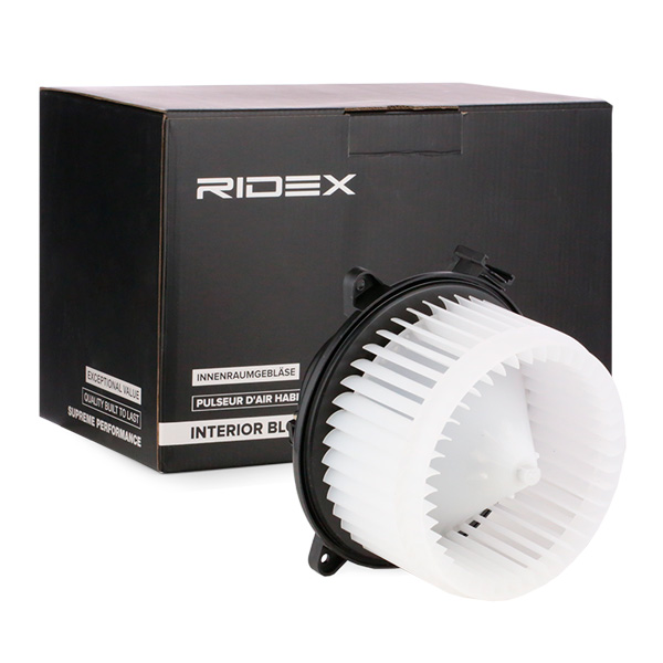 RIDEX Salongipuhur 2669I0121