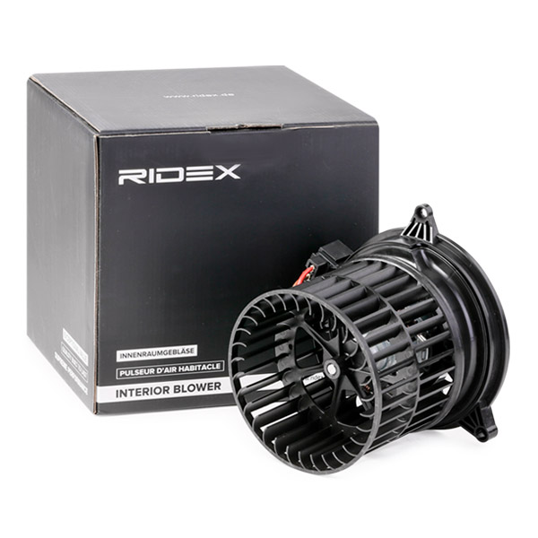 RIDEX Salongipuhur 2669I0123
