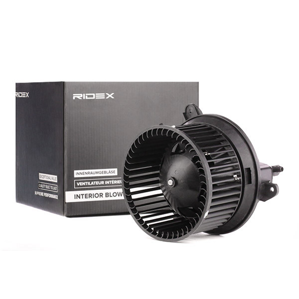 RIDEX Salongipuhur 2669I0124