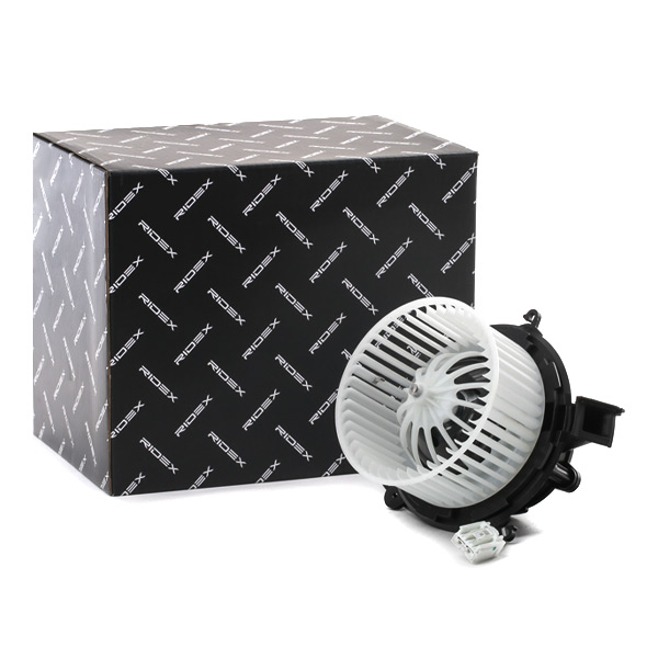 RIDEX Salongipuhur 2669I0125