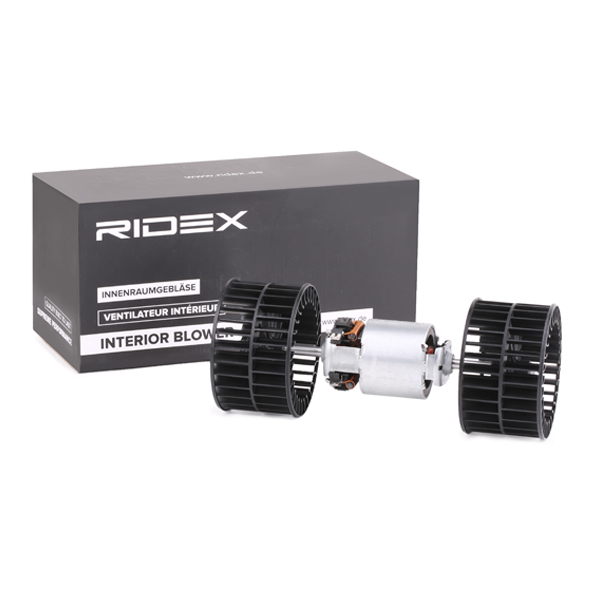 RIDEX Salongipuhur 2669I0127