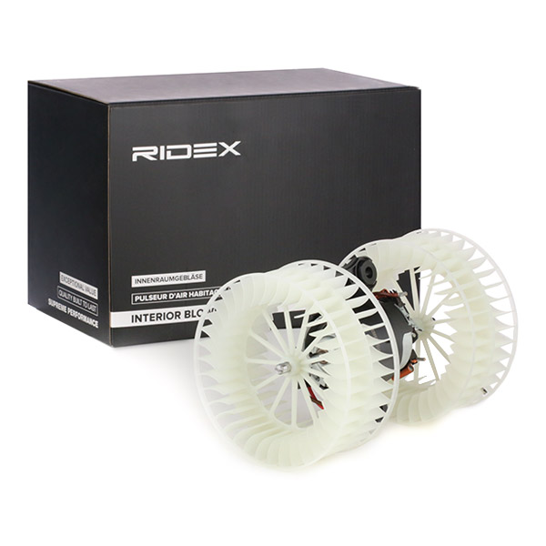 RIDEX Salongipuhur 2669I0134