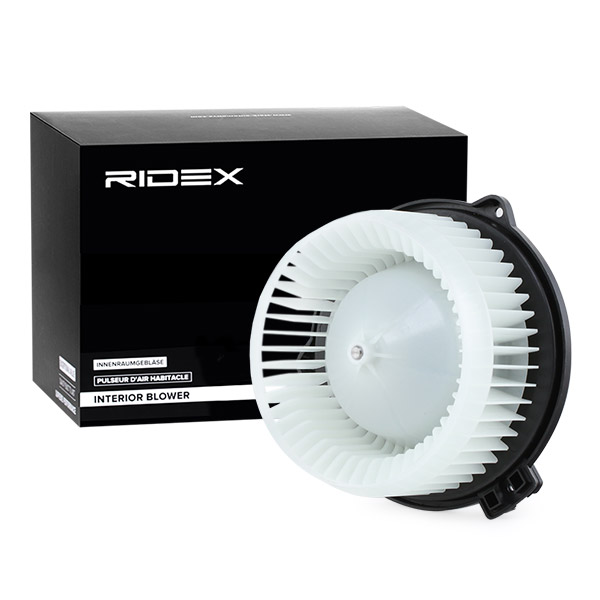 RIDEX Salongipuhur 2669I0136