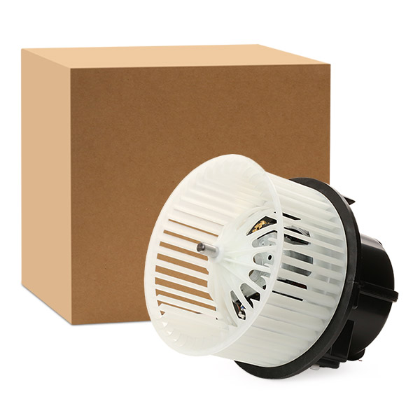 RIDEX Salongipuhur 2669I0138