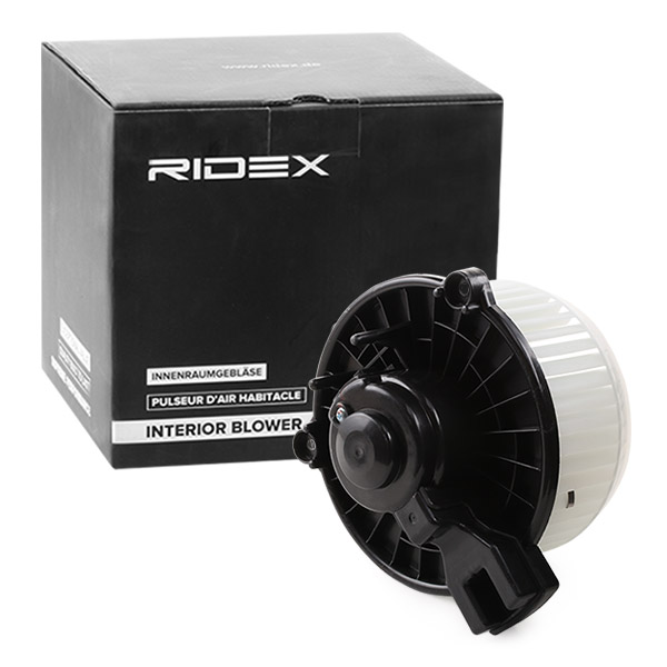 RIDEX Salongipuhur 2669I0140