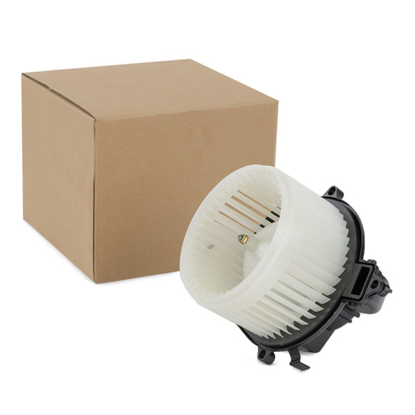 RIDEX Salongipuhur 2669I0147