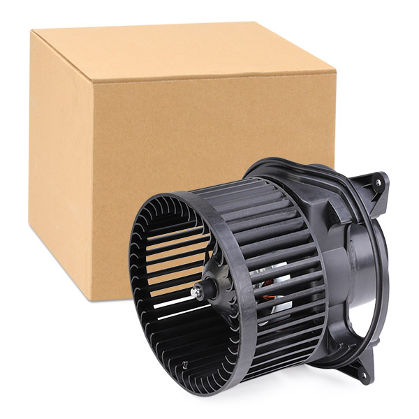 RIDEX Salongipuhur 2669I0152