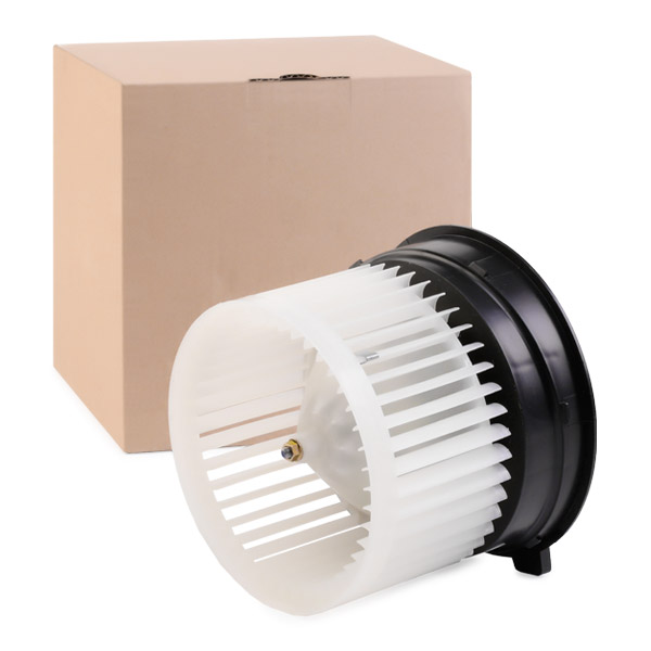 RIDEX Salongipuhur 2669I0155