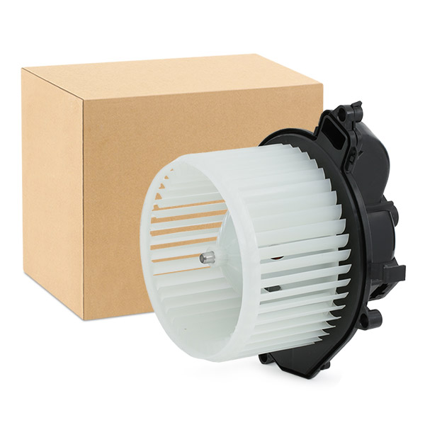 RIDEX Salongipuhur 2669I0157