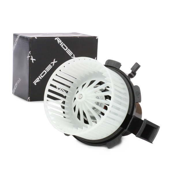 RIDEX Salongipuhur 2669I0160