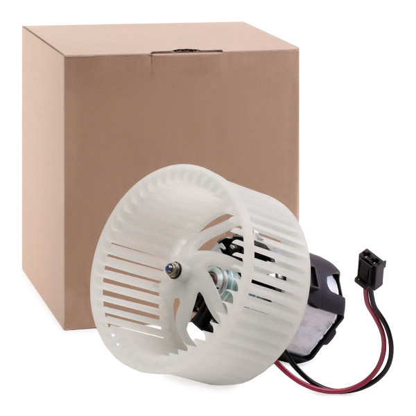 RIDEX Salongipuhur 2669I0173