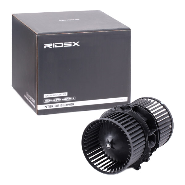 RIDEX Salongipuhur 2669I0178