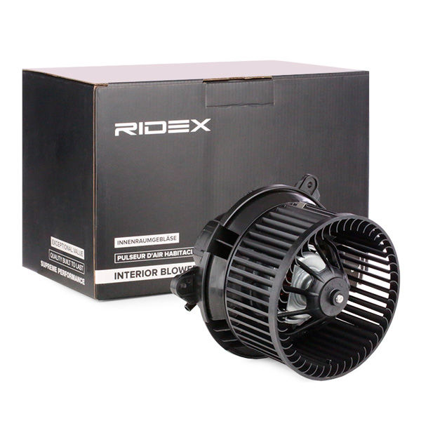 RIDEX Salongipuhur 2669I0191