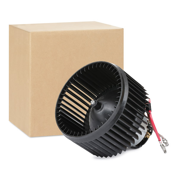 RIDEX Salongipuhur 2669I0197