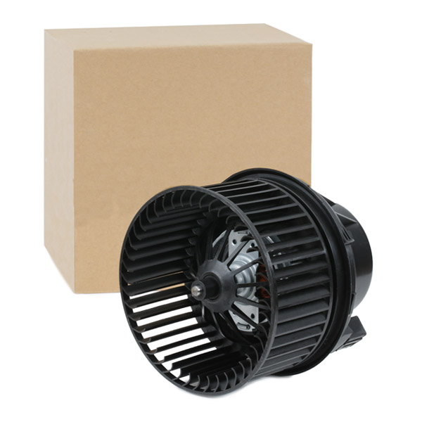 RIDEX Salongipuhur 2669I0201