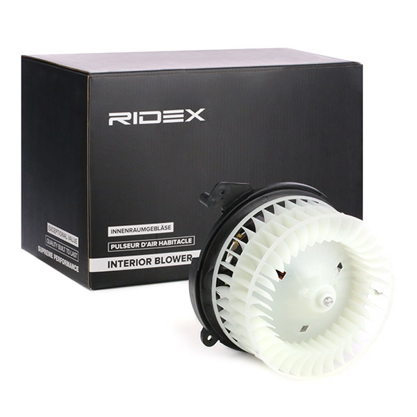 RIDEX Salongipuhur 2669I0202