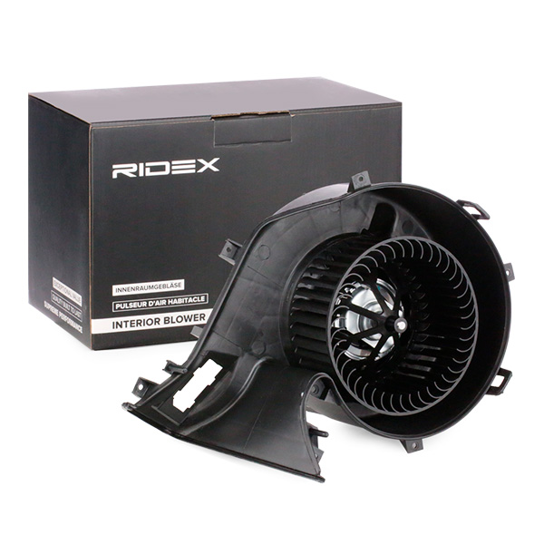 RIDEX Salongipuhur 2669I0203