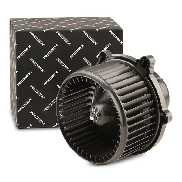 RIDEX Salongipuhur 2669I0208