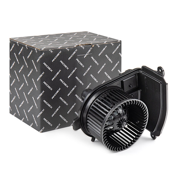 RIDEX Salongipuhur 2669I0212