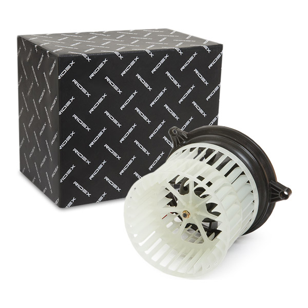 RIDEX Salongipuhur 2669I0213