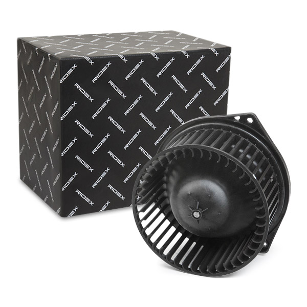 RIDEX Salongipuhur 2669I0215