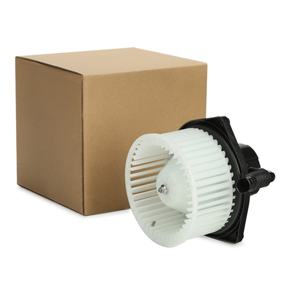 RIDEX Salongipuhur 2669I0219