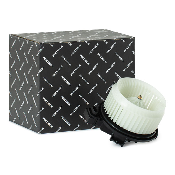 RIDEX Salongipuhur 2669I0220