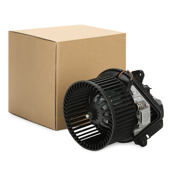RIDEX Salongipuhur 2669I0275