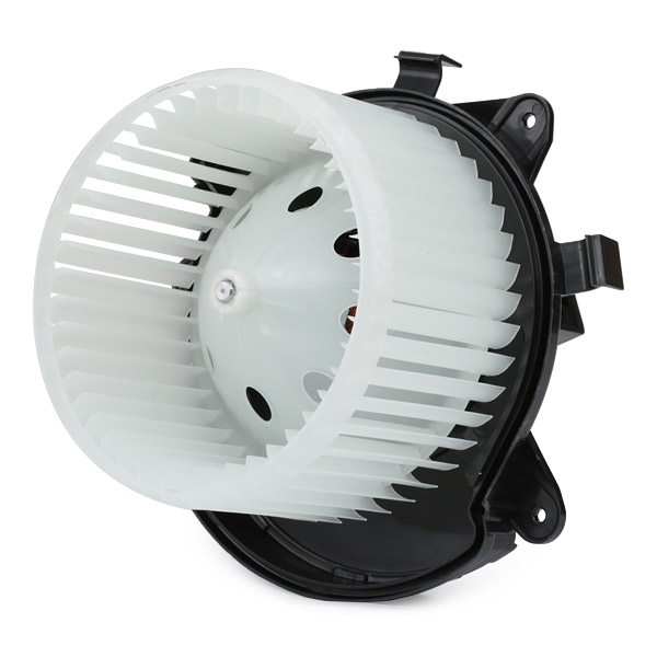 RIDEX Salongipuhur 2669I0293