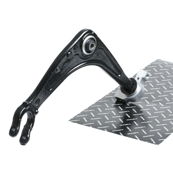 RIDEX Õõtshoob 273C1016