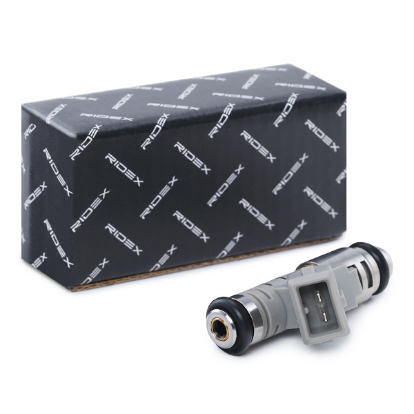 RIDEX Pihusti 3902I0015