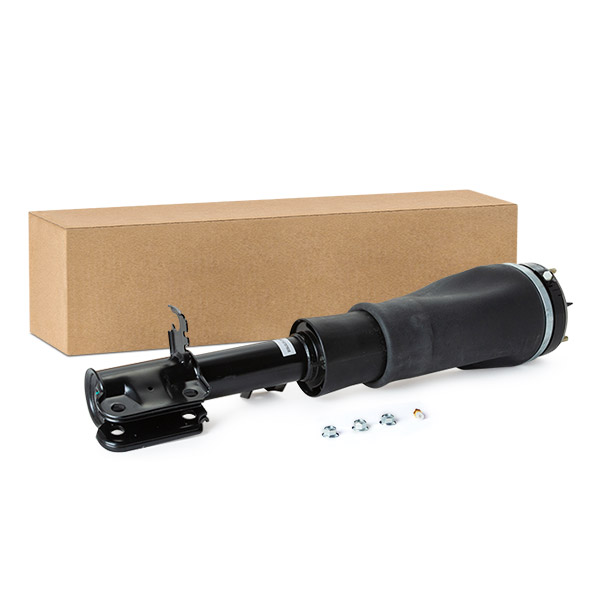 RIDEX Õhuamort 4118A0058